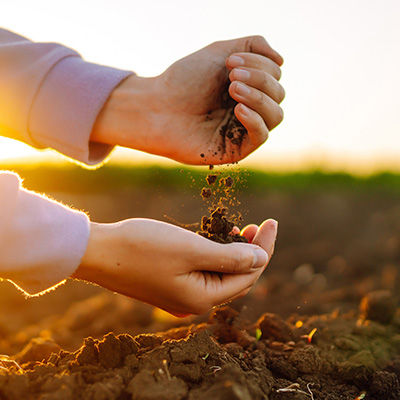 Após as enchentes no RS, produtores devem avaliar presença de nutrientes e fertilidade do solo para definir estratégias de recuperação.
