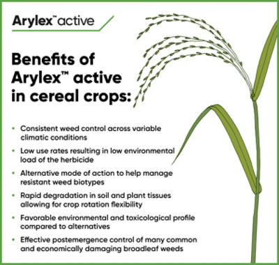 List of benefits of Arylex active