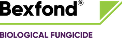 Bexfond logo