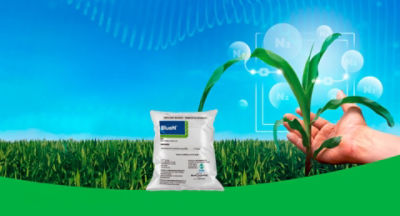 BlueN - Una fuente natural de Nitrógeno