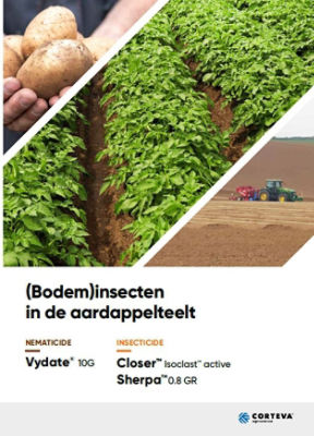 (Bodem)inssecten in de aardappelteelt