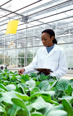 Botanist Inspecting Plants in a Greenhouse