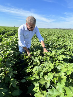 Climate Field View - Haroldo Cunha