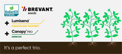 Brevant Enlist soybeans, lumisena and Canopy Pro make the perfect trio