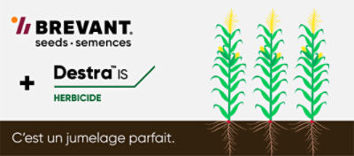 l'herbicide Destra IS avec les soyas Brevant