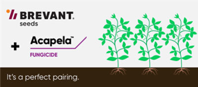 Acapela and Brevant soybeans are the perfect pair