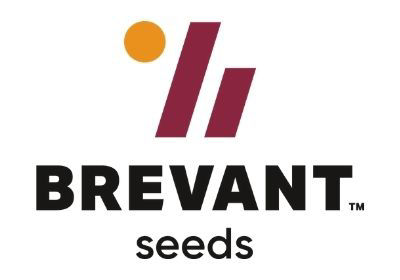 Semence Brevant™