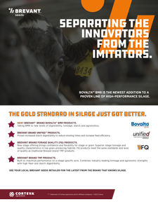 Silage Portfolio Brochure Thumbnail