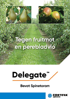 IMG-Brochure-Delegate-2022-EU-BE-V2