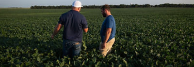 Brownfield advisor and farmer in soybean field
