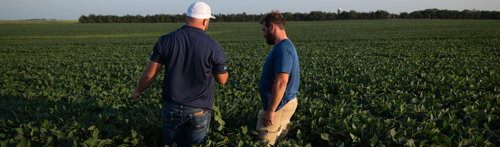 Brownfield advisor and farmer in soybean field