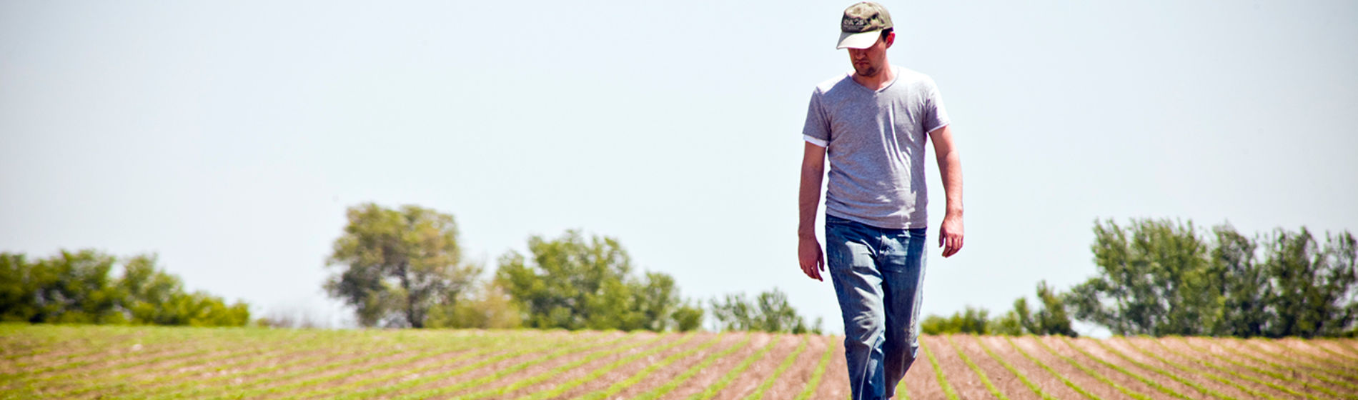 Brownfield farmer walking in field