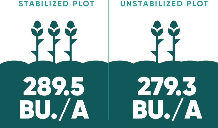 Bushels per acre graphic