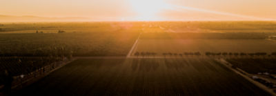 IMG-Campo_Campo_con_atardecer-Corteva-LA_AR-V1