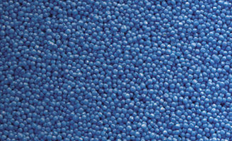 Blue canola seed