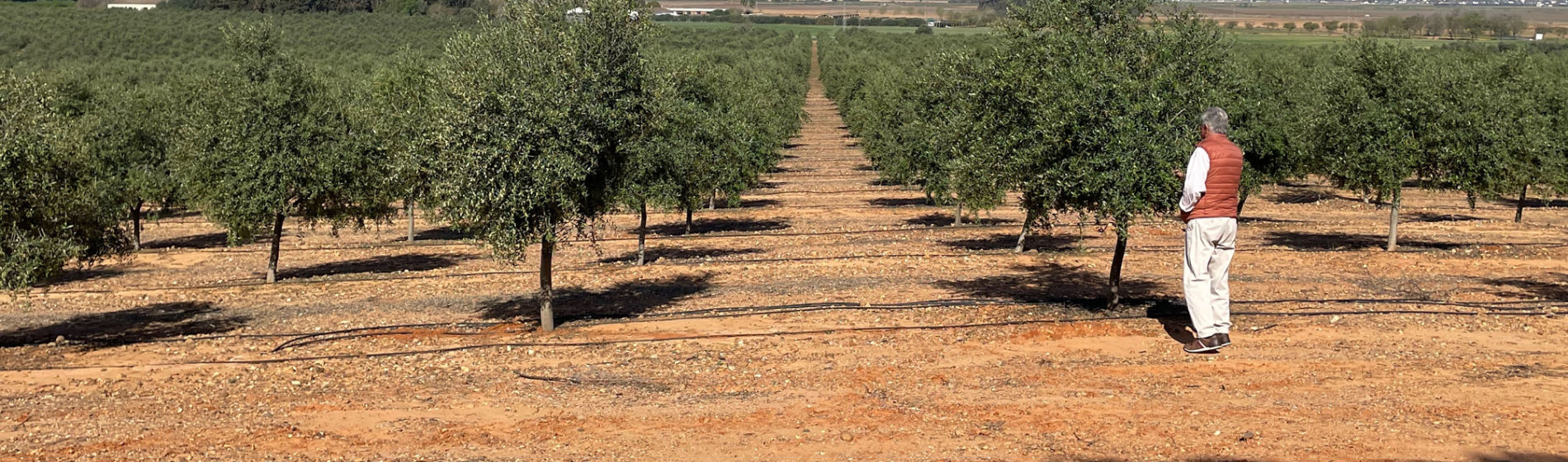 Casos reales: agentes del cambio en la gestión del agua agrícola