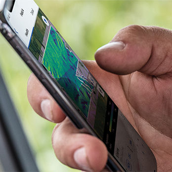 Cellphone in hand