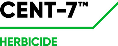 Cent-7 logo