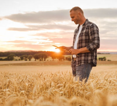 No champs d’action : santé végétale
