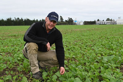 Andrew West - Ashburton / Canterbury