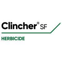 Clincher SF logo