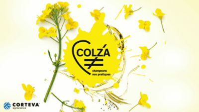 colza
