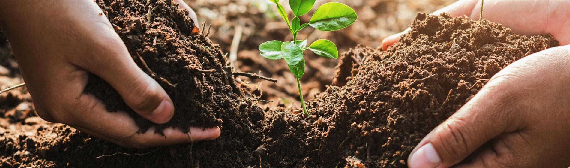 Conservación del suelo agrícola