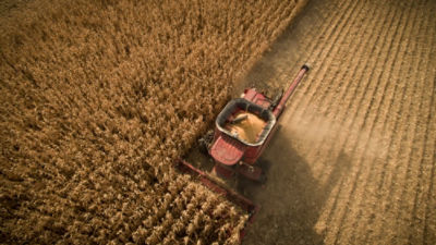 Aerial of corn harvest