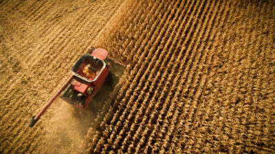 Aerial photo - corn harvest