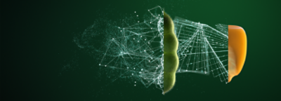 Banner - corn and soybean scouting guide