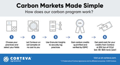 Carbon Market Infographic 