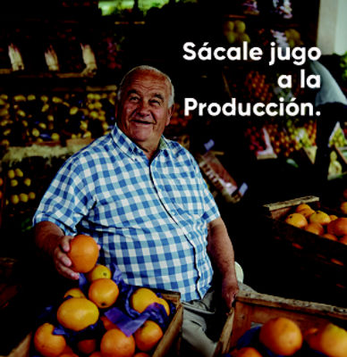 IMG-Cítricos-LA-MX-V1