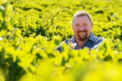 Eden Hall Vineyard
