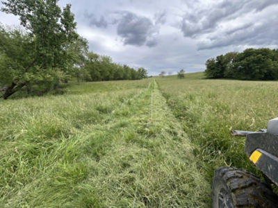 DeBruin_Grass and a few shade trees