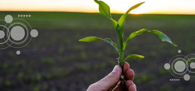 IMG-Desktop-Banner-Image-ZA-V1