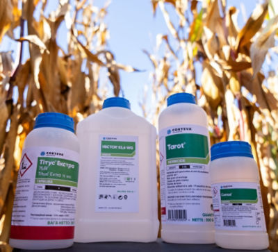 Plus que 2000 références