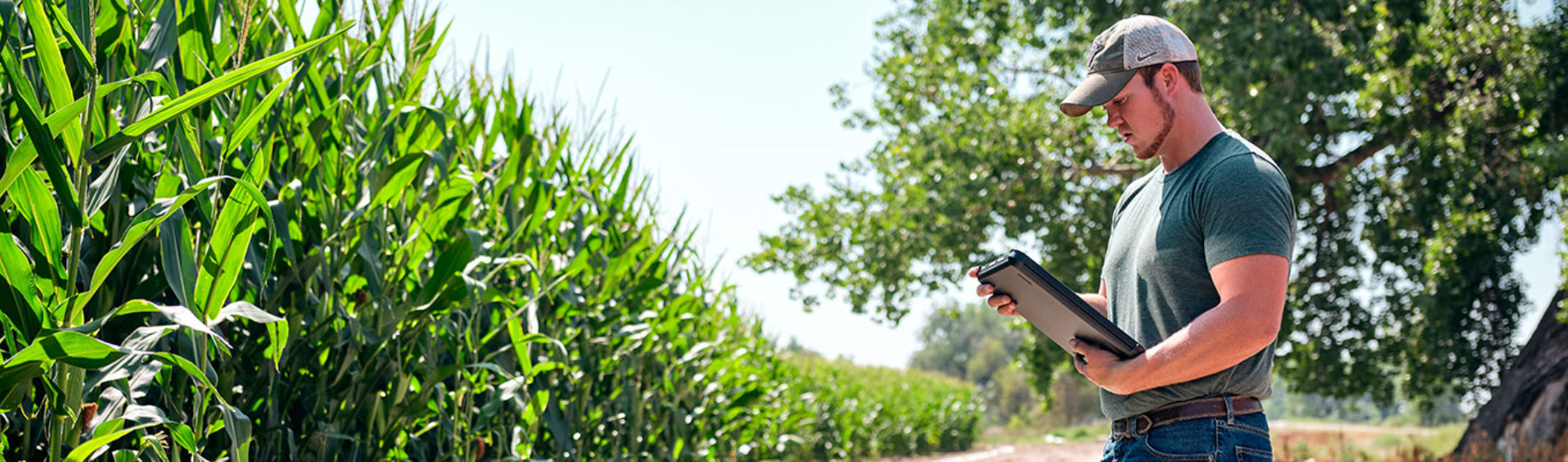Man on edge of corn field - Digital Solutions
