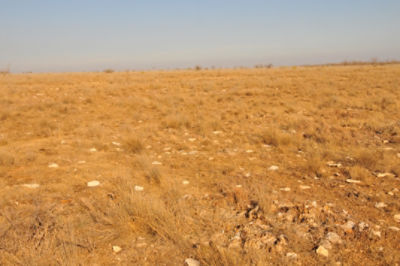 Rangeland in drought conditions