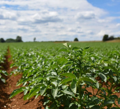 La durabilité comme priorité