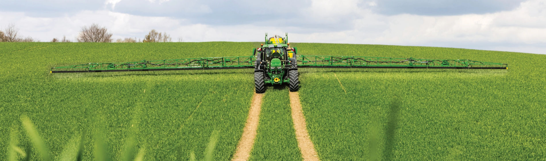 T2 fungicide spray