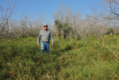 East Foundation pasture walk