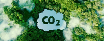 Economía del carbono