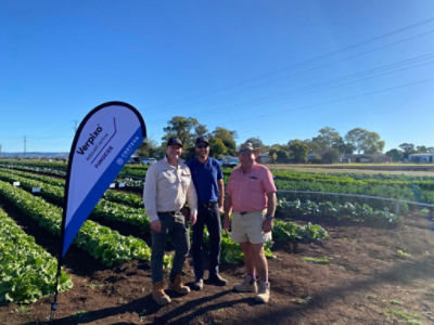 Corteva’s Adam Harber (left) and Nick Koch (centre) with Elders agronomist Greg Teske discussing Verpixo trial results.