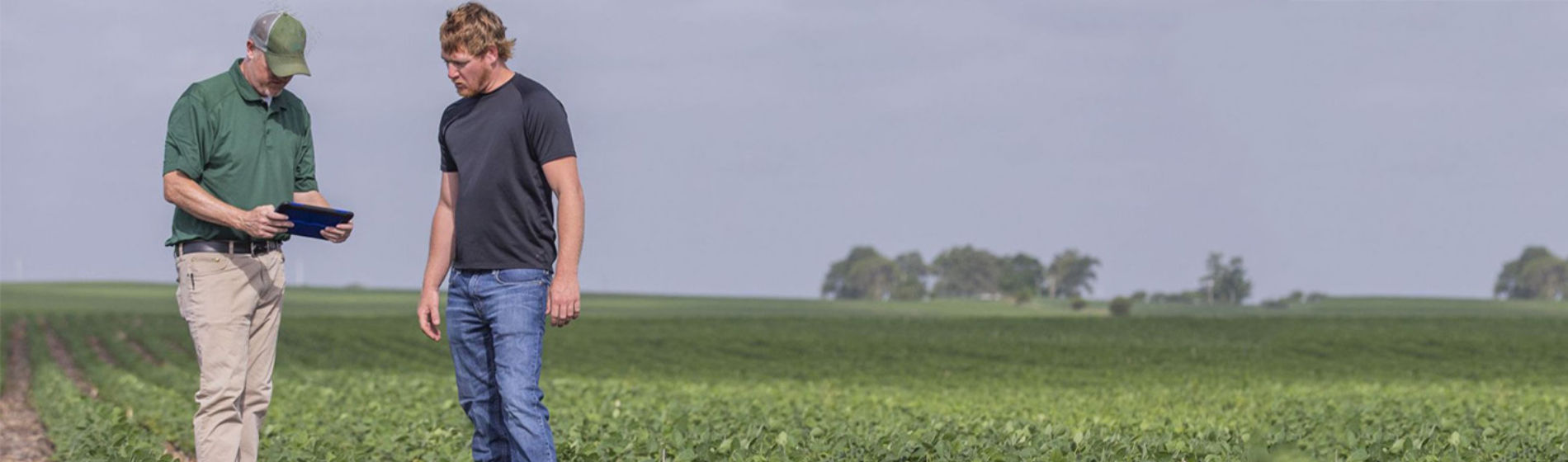 Enlist Field Specialist and Farmer in field with tablet