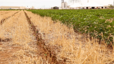 Enlist One Application