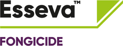 Brand_Logo
