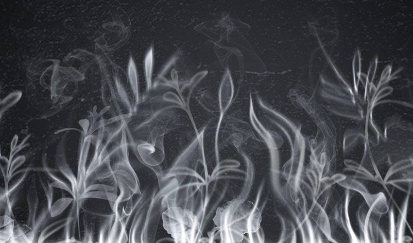 extinguish xl fire creative