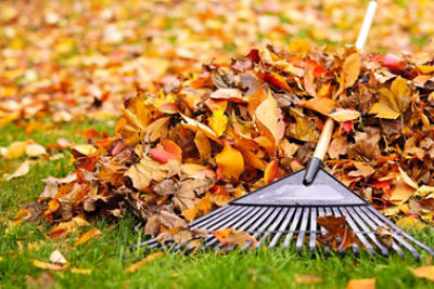Fall color leaves with rake