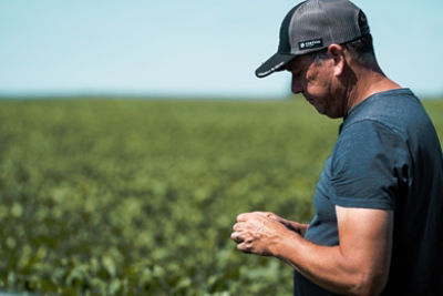 Farmer examing plants in field closeup