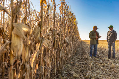 Farmer Interview